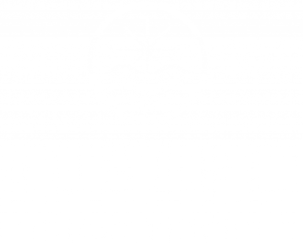 ausekli-logo-balts